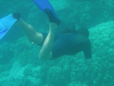 snorkeler diving