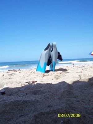 photo of blue surf fins